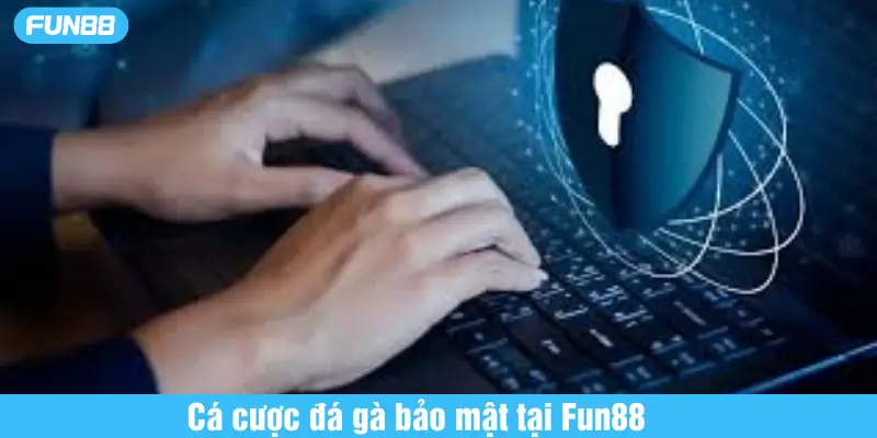 cá cược đá gà bảo mật tại fun88