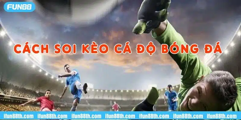 Hướng dẫn soi cầu từ tỷ lệ kèo nhà cái