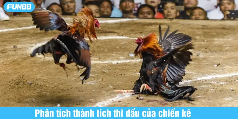 phân tích thành tích thi đấu của chiến kê